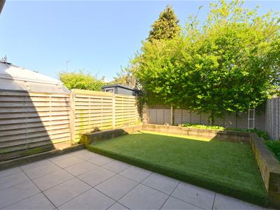 Picture 21